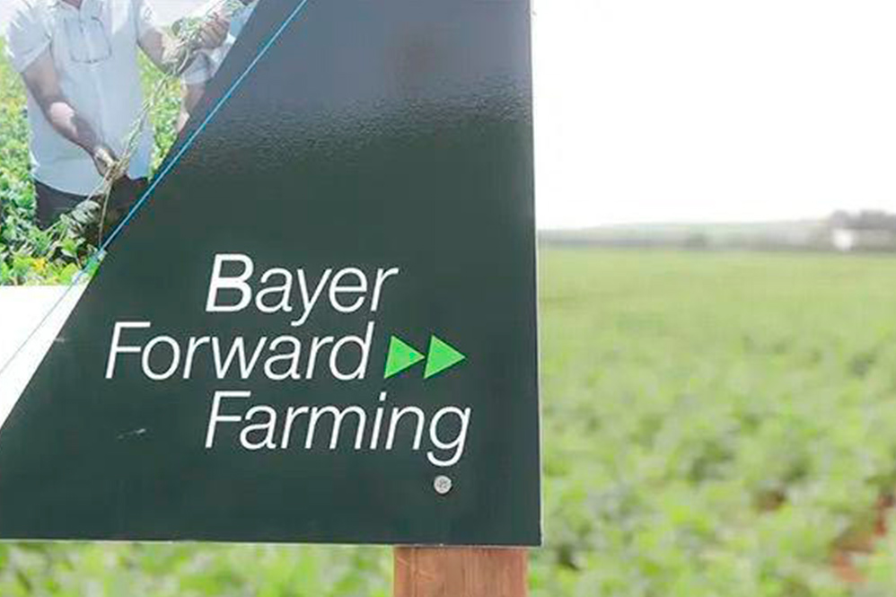 Programa de agricultura sustentável da Bayer: mais de 5 anos de fazendas modelo